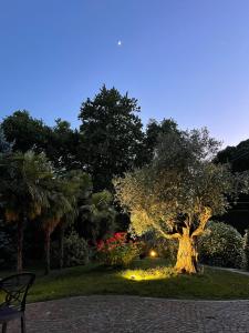 Zahrada ubytování Parco Hotel Sassi