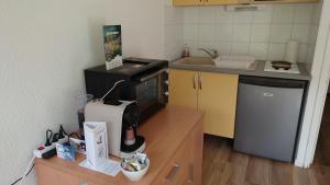 a small kitchen with a microwave and a counter with a refrigerator at Le Portillo in Puy-Saint-Vincent