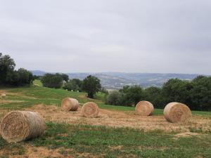 Príroda v okolí farmy