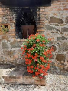 Fotografia z galérie ubytovania Agriturismo Il Truffarello TODI v destinácii Todi