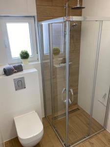 a bathroom with a shower and a toilet at Mila Baltica in Władysławowo