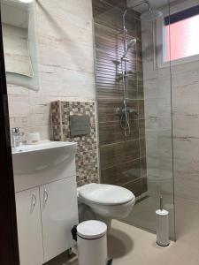 y baño con aseo y ducha acristalada. en Apartment Evgenija, en Ohrid