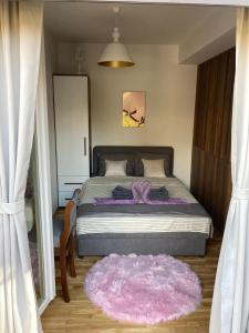 1 dormitorio con 1 cama con alfombra rosa en Apartment Evgenija, en Ohrid