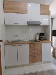 Kuchyňa alebo kuchynka v ubytovaní Apartman Freja II