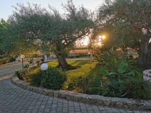 a park with a tree and a brick road at Villa Antonella in Augusta