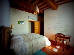 1 dormitorio con cama, escritorio y silla en Agriturismo Podere Padolecchie - Azienda Agricola Passerini, en Torrita di Siena