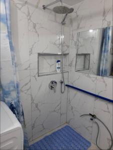 La salle de bains est pourvue d'une douche avec une porte en verre. dans l'établissement ROMANCE Apartments, à Tirana