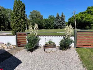 バラトンベレーニにあるApartment in Balatonbereny/Balaton 18046の木の柵と植物が2本ある庭園