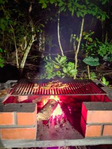 a grill with a bunch of food on it at Albertico Jungle House in Pucallpa