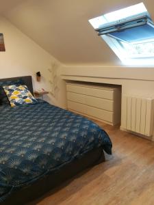 a bedroom with a bed and a skylight at Promotion du Jour - Le Figuier in Deuil-la-Barre +14 photos