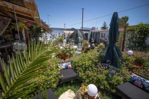 Foto da galeria de Beach House Babylon guest house with kitchenette and garden em Torreira