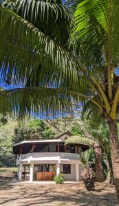 a house with a palm tree in front of it at Ocean View in Puntarenas