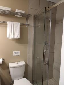 uma casa de banho com um WC e uma cabina de duche em vidro. em Semi Centre House em White Rock