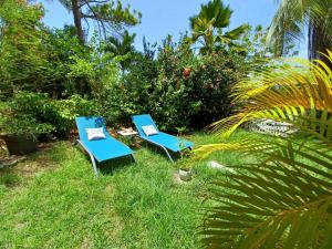 dos sillas azules sentadas en el césped cerca de algunas plantas en Acerola, en Le Vauclin