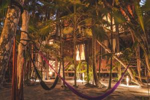 Zahrada ubytování Hidden Treehouse Tulum Eco-Hotel