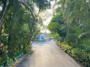 程逸府Baan Suan Palm Resort的一条棕榈树和一座建筑连成一条公路