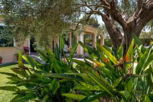 Zahrada ubytování Villa Iris - Alcúdia