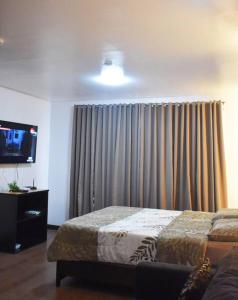 een slaapkamer met een bed, een televisie en gordijnen bij SPACIOUS 1BR 44sqm STUDIO UNIT near AYALA MALL in Cebu City