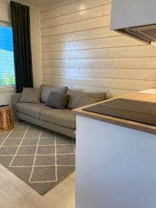 Kuhinja ili čajna kuhinja u objektu Ihana asunto - The Nest with Sauna in VAASA