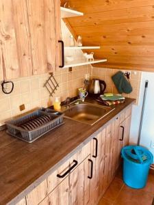 Kuchyň nebo kuchyňský kout v ubytování Apartmány Srub Jenišov