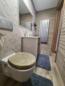 łazienka z toaletą i lustrem w obiekcie Woodland w mieście Korenica