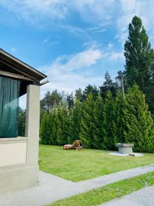 un giardino con una panchina nell'erba di садиба доличі a Bovkun