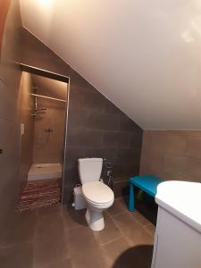 a bathroom with a toilet and a shower and a sink at Pensjonat Osemka in Lewin Kłodzki