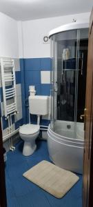 uma casa de banho azul e branca com um WC e um chuveiro em Pensiunea Vila Maria em Crăcăoani