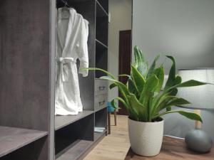 a bathroom with a plant and a mirror at Gastello hotel in Bishkek