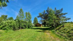a wooden cabin in the middle of a field with trees at Jaunveiti in Bernāti