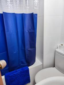 uma cortina de chuveiro azul numa casa de banho com WC em LUCERO APARTAMENTO em Madri