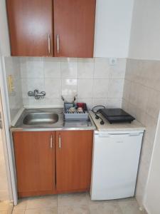 a small kitchen with a sink and a sink at Apartmani Lalo Jankovic in Sutomore