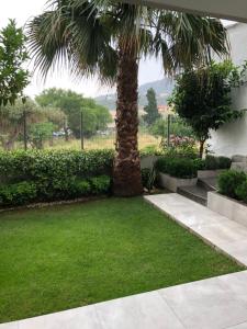 a palm tree in the middle of a yard at Vanessa House Luxury Apartments in Skiathos Town