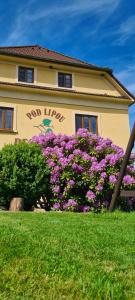 Vonkajšia záhrada v ubytovaní Pension Pod Lipou