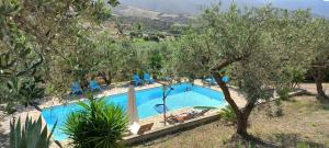 a swimming pool in the middle of a garden with trees at Holiday Home La Quiete in Alghero