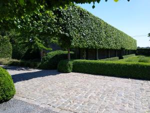 Ein Garten an der Unterkunft B&B De Hulst