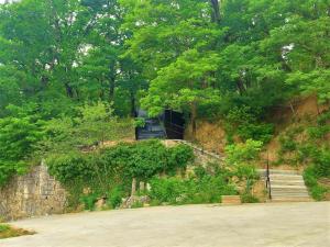 Giardino di Mango's Guesthouse