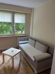 salon z kanapą i dwoma oknami w obiekcie Apartament Dworcowa w Olsztynie