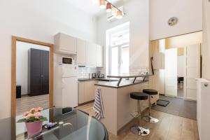 Kuchyňa alebo kuchynka v ubytovaní D78 Dohány Apartment