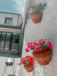 un grupo de flores en macetas en una pared en CASA ABUELA MERCEDES, 
