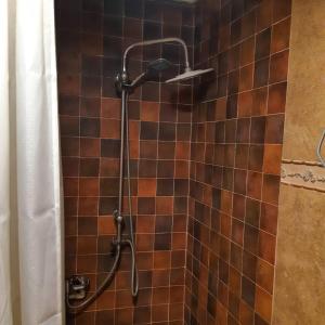 a shower with a shower head in a bathroom at Apartments Sipcic in Žabljak