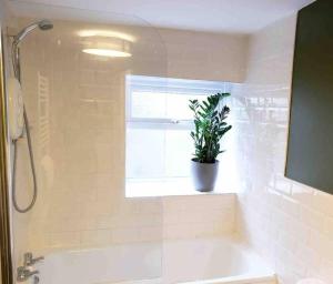 La salle de bains est pourvue d'une baignoire et d'une plante dans la fenêtre. dans l'établissement Regency cottage 10 minutes from Bath city centre, à Bath