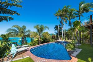 uma piscina num quintal com palmeiras em Coral Sea Pearl em Shute Harbour