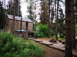 a log cabin in a forest with trees at Private cosy forest cabin in Inturkė