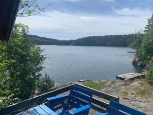 a blue bench sitting next to a body of water at Hytte ved sjøen in Kristiansand