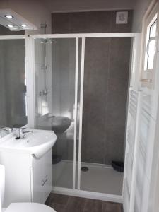 a bathroom with a shower and a sink at Camping de Duinhoeve Chalet Schelp not for companies in Nieuw-Haamstede
