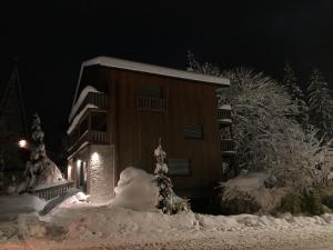 a house covered in snow at night at Chalet Alte Post in Schwarzsee