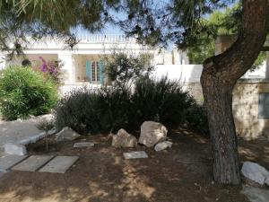 a garden with rocks and a tree and a building at Ramasole in Ostuni