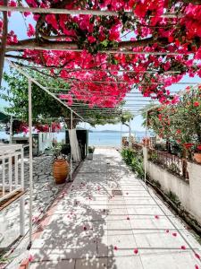 a pathway covered in pink flowers with the beach in the background at Avli Studios in Nydri