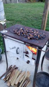an outdoor oven with a grill and a glass of wine at Öregház vendégház in Lakhegy